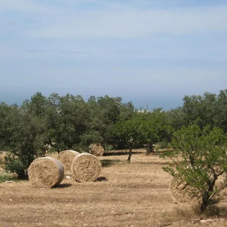 Bed & Breakfast Cinque Stalle