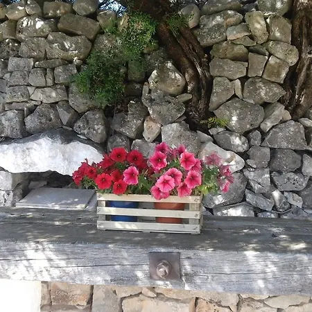 Panzió Cinque Stalle 4*