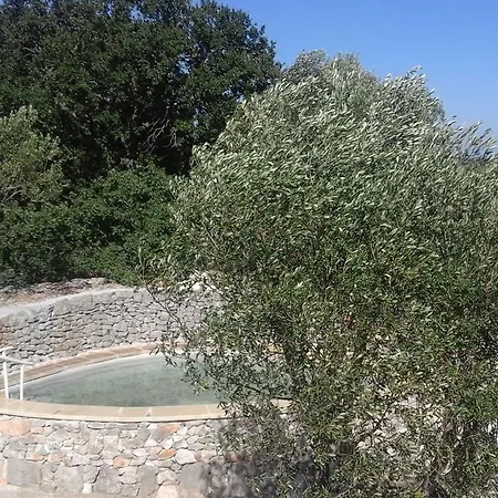 Bed & Breakfast Cinque Stalle