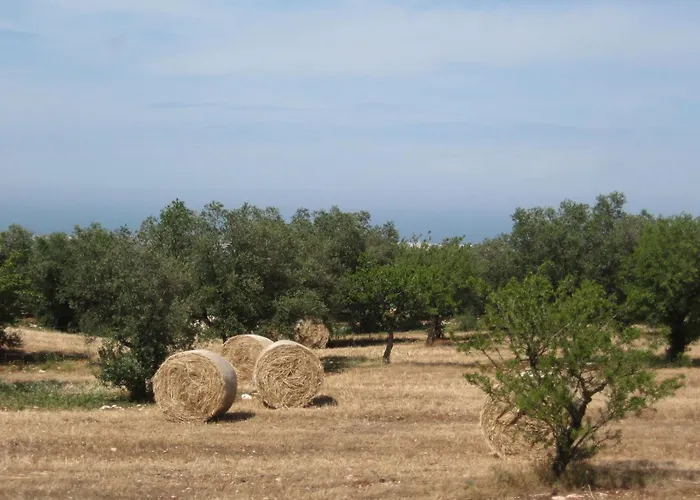 ベッド・アンド・ブレックファスト Cinque Stalle