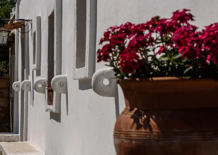 Cinque Stalle ベッド・アンド・ブレックファスト 4*